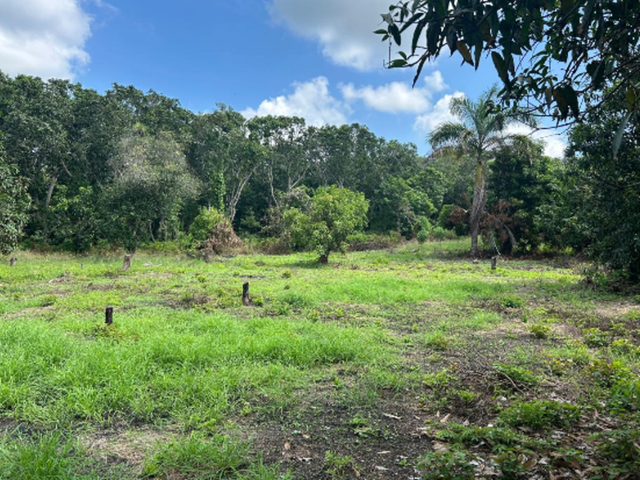 place photo 12