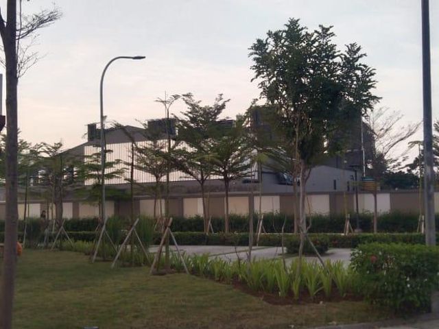 place photo 13