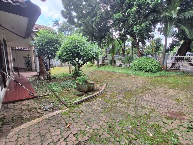 place photo 7