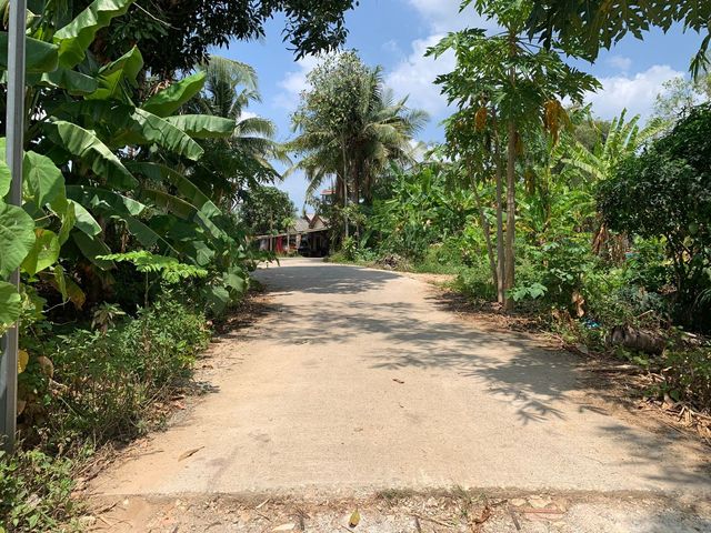 place photo 27