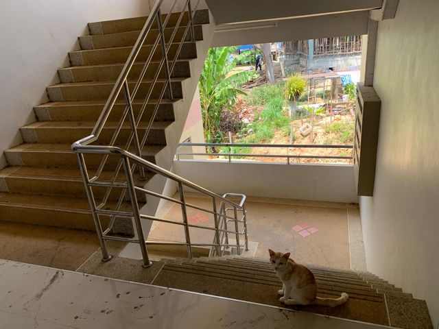 place photo 30
