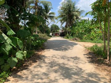 place photo 22