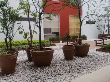 place photo 27