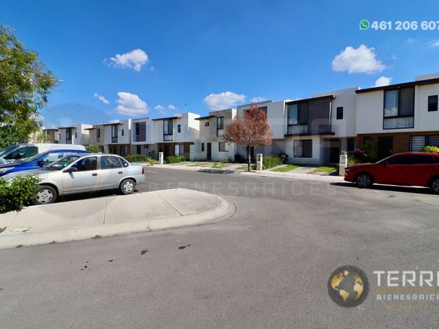 place photo 57