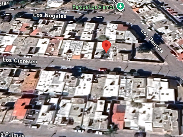 place photo 6