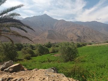 place photo 12
