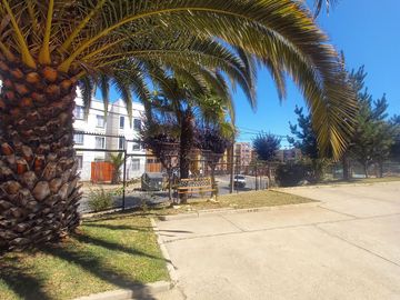 place photo 15