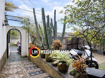 place photo 16