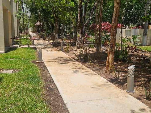 place photo 24