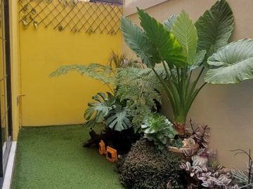 place photo 23