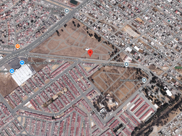 place photo 14
