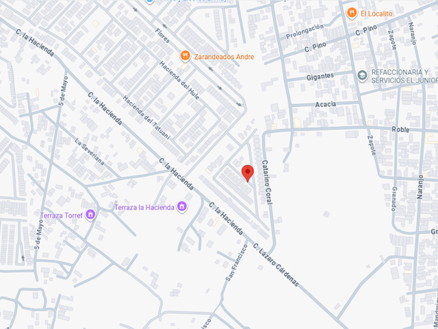 place photo 7