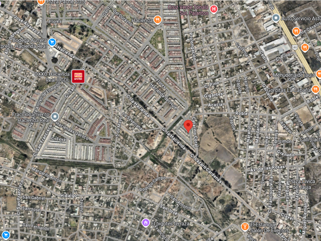 place photo 11