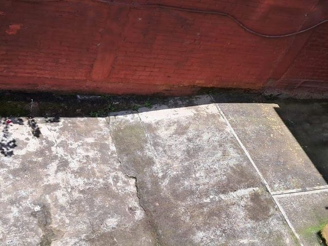 place photo 38