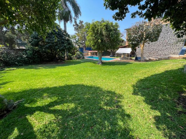 place photo 43