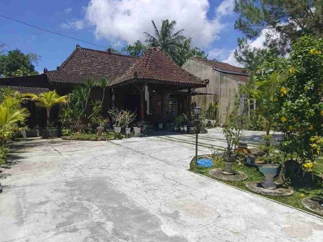 place photo 9