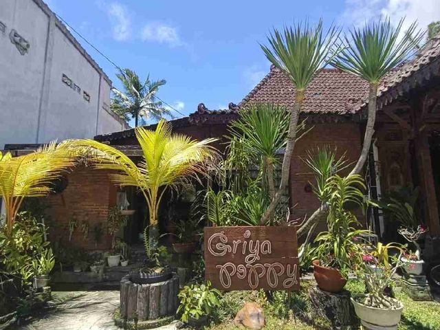 place photo 17
