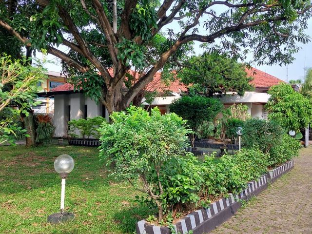 place photo 26