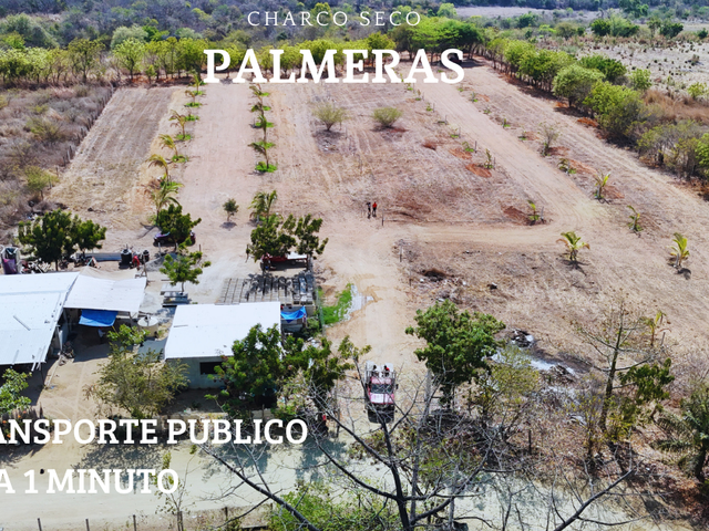place photo 24