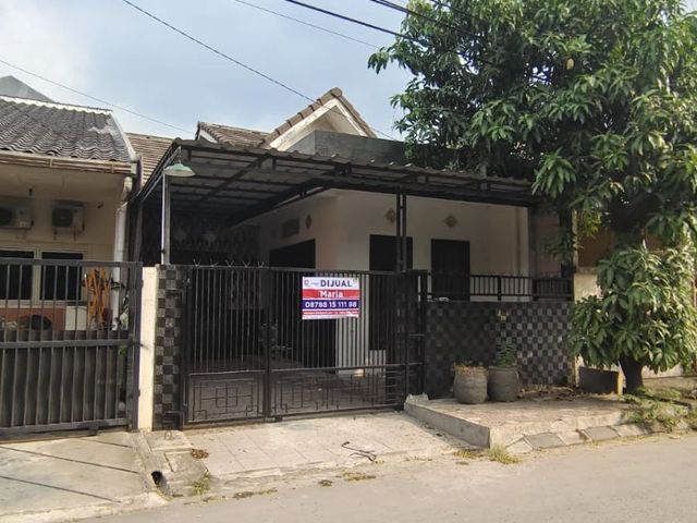 place photo 13