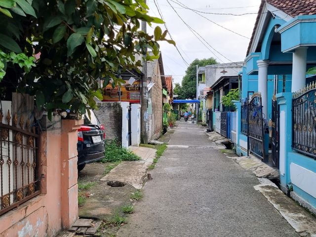place photo 11