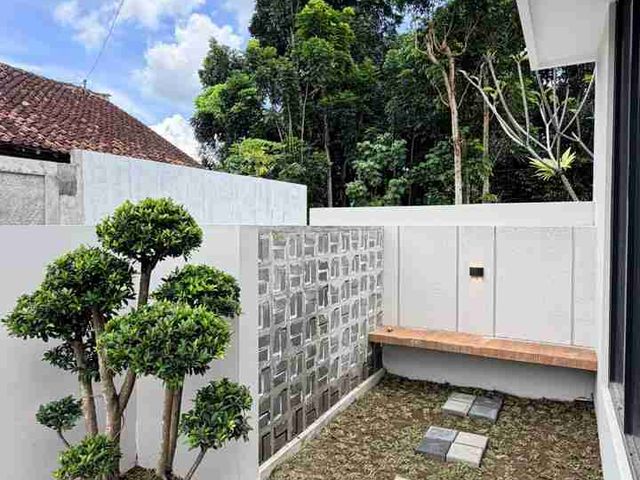 place photo 33