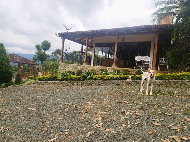 place photo 25