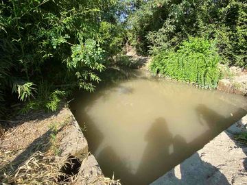 place photo 49