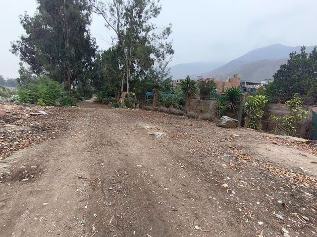 place photo 45