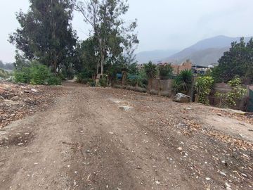 place photo 45