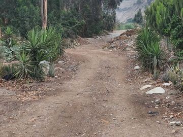place photo 46