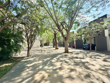 place photo 29