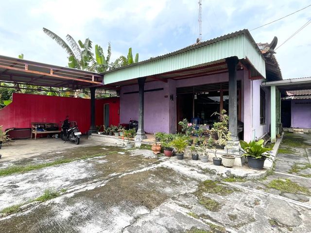 place photo 14