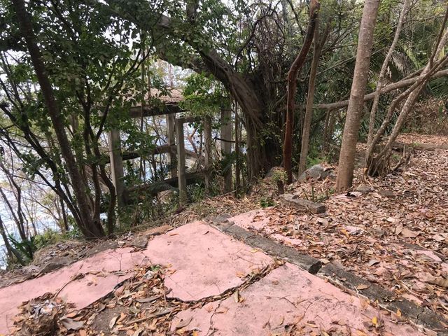 place photo 15