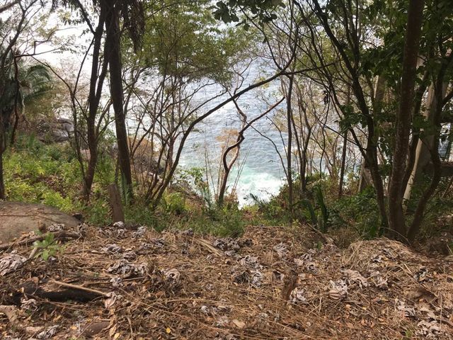 place photo 18