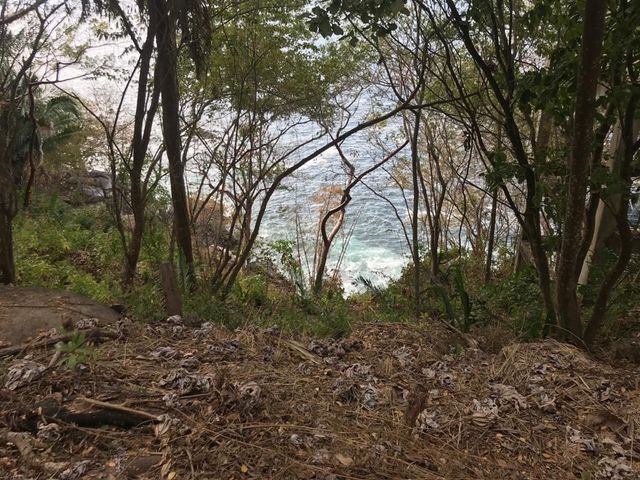 place photo 19