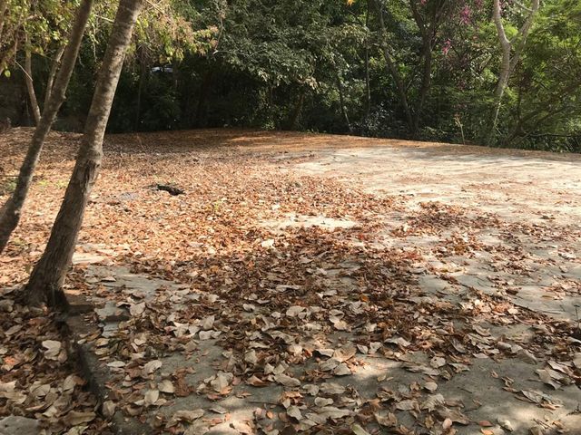 place photo 40