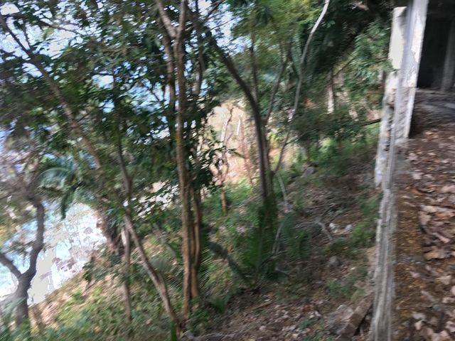 place photo 44
