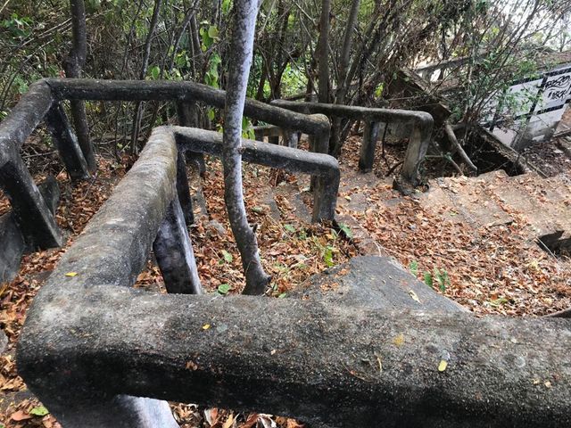 place photo 51