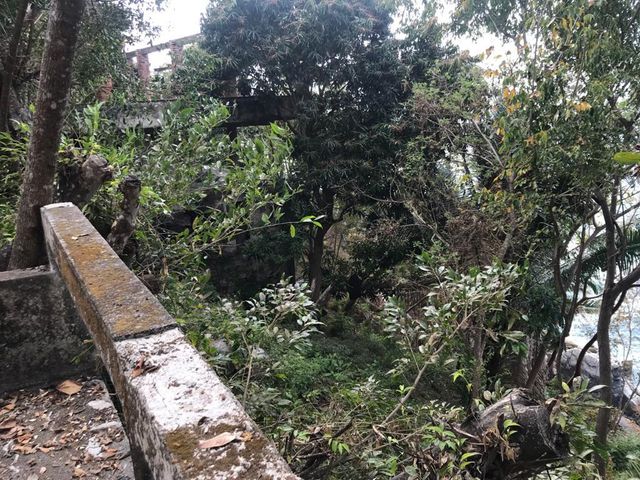 place photo 55