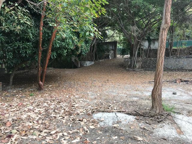 place photo 56