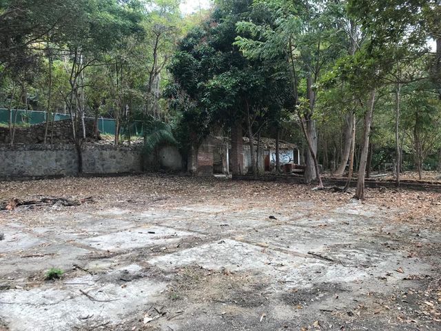 place photo 57
