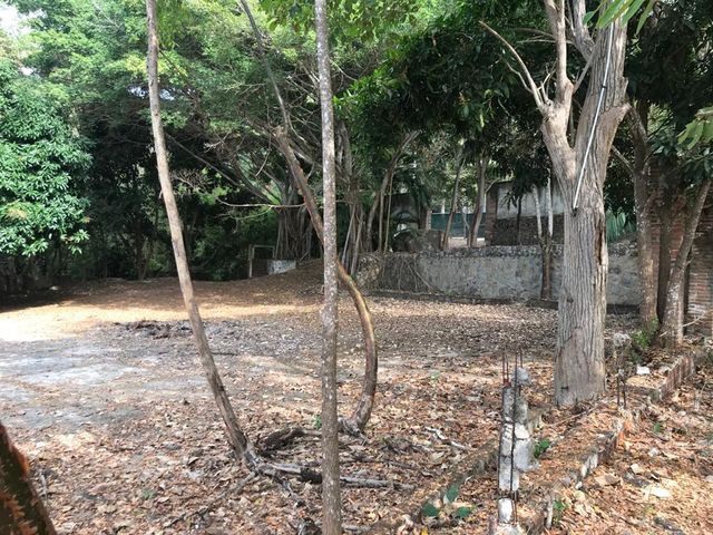 place photo 63