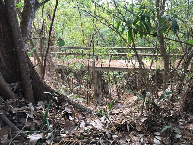 place photo 67