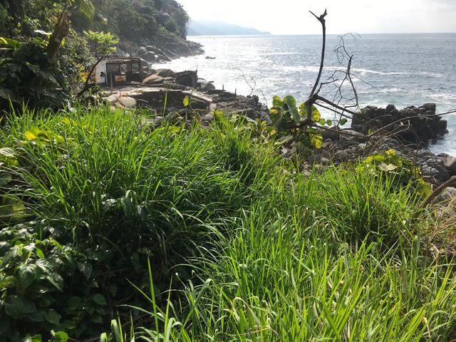 place photo 82