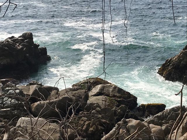 place photo 84