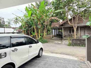 place photo 22