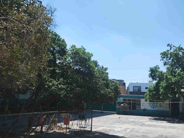 place photo 15