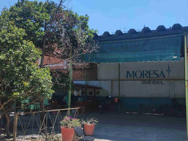 place photo 28