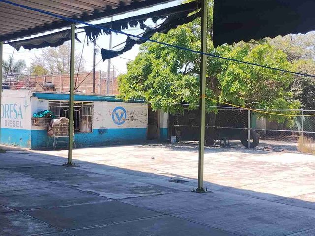place photo 36